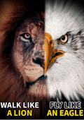 ATTITUDE eBook - Walk Like a Lion Fly Like an Eagle